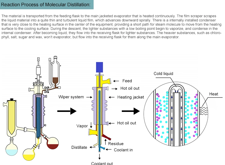 Continuous Lab and Pilot Production Turnkey Wiped Film Molecular Distillation