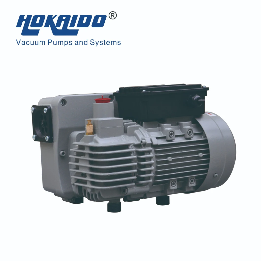 Sputtering Machine Used High Performance Oil Vacuum Pump (RH0020)