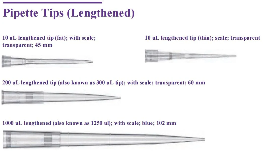 Pipette Tips for Laboratory Good Price 10UL OEM Tip Micro Pipette Pipette Tips Manufacturers