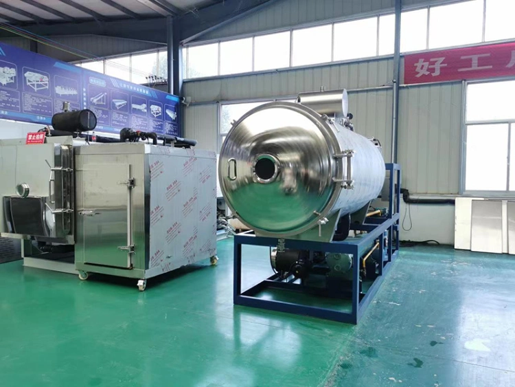 10m² Fruit and Vegetable Freeze Dryer Food Medicine Vacuum Dryer Pet Food Tea Commercial Freeze Drying Equipment