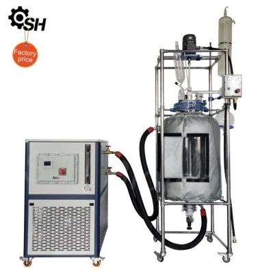 SH Biotech 1-200L Labor-Ummantelungsreaktor zu verkaufen Labor-Doppelglasreaktor mit fotochemischem Dauerrührreaktor