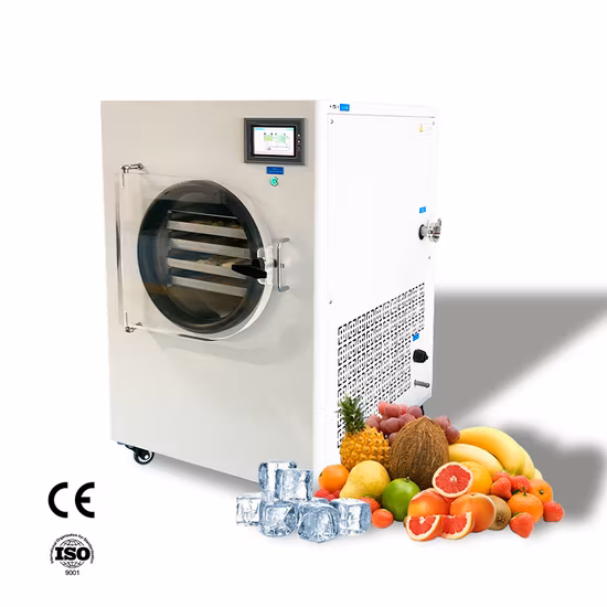 ein Gefriertrockner-Dehydrator-Vakuum-Gefriertrockenofen